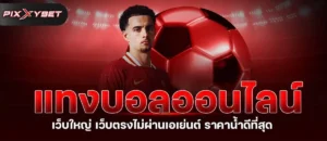 แทงบอลออนไลน์ เว็บใหญ่ เว็บตรงไม่ผ่านเอเย่นต์ ราคาน้ำดีที่สุด